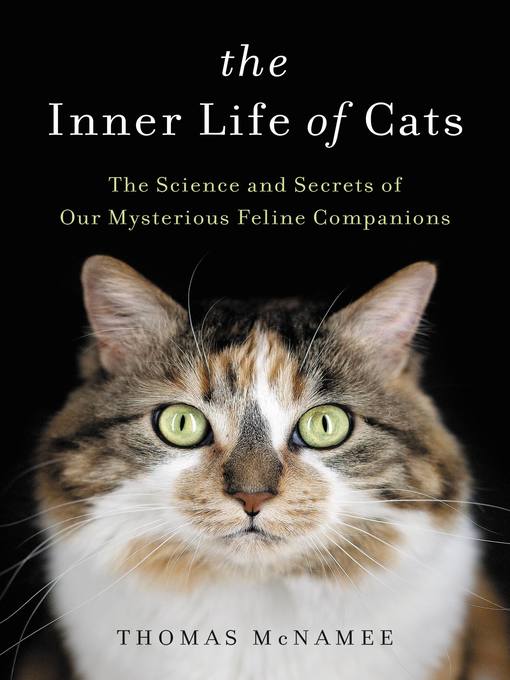 Cover image for The Inner Life of Cats